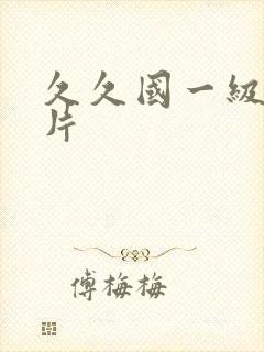 久久国一级黄色片