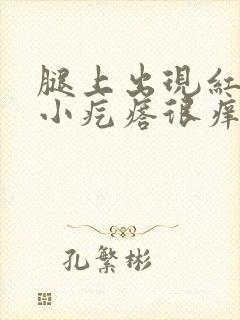 腿上出现红色的小疙瘩很痒