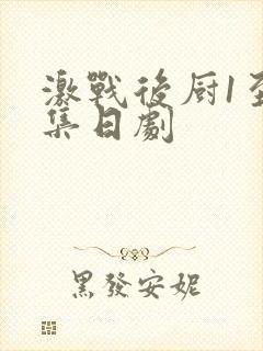 激战后厨1至5集日剧