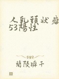人乳头状瘤病毒53阳性