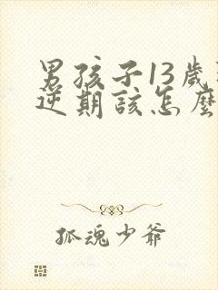 男孩子13岁叛逆期该怎么沟通