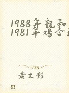 1988年龙和1981年鸡合适不
