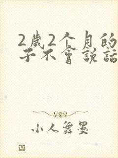 2岁2个月的孩子不会说话封面