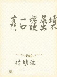 有一块屎堵在肛门口硬出不来封面