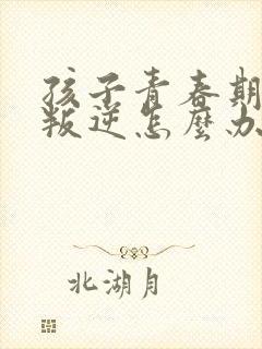 孩子青春期厌学叛逆怎么办封面