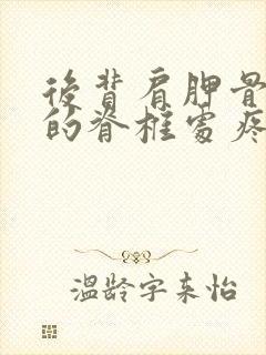 后背肩胛骨中间的脊椎处疼痛封面