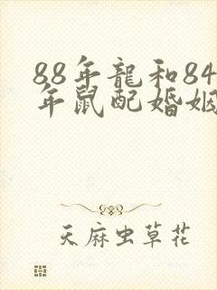 88年龙和84年鼠配婚姻好不好