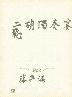 二胡独奏赛马宋飞封面