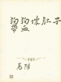 狗狗坏肚子拉稀带血