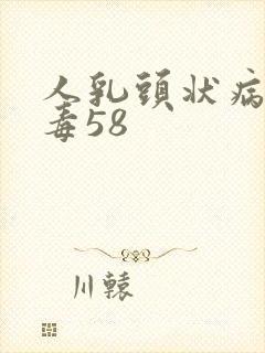 人乳头状病毒病毒58封面