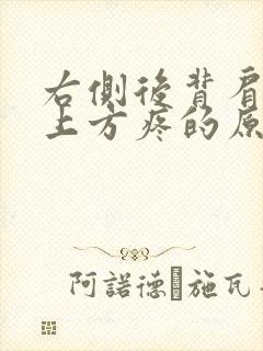 右侧后背肩胛骨上方疼的原因封面