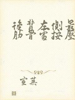 后背左侧最下边肋骨处按压疼