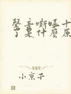 声音嘶哑十几天了是什么原因造成的