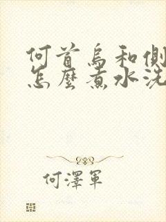 何首乌和侧柏叶怎么煮水洗头