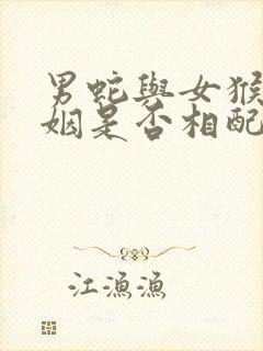 男蛇与女猴的婚姻是否相配封面