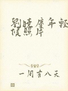 刘晓庆年轻的时候照片封面