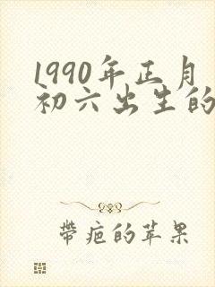1990年正月初六出生的命运