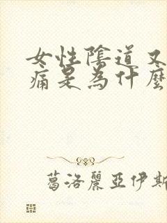 女性阴道又痒又痛是为什么