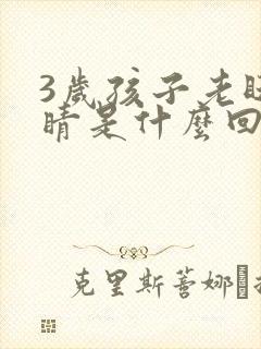 3岁孩子老眨眼睛是什么回事