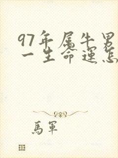 97年属牛男的一生命运怎么样