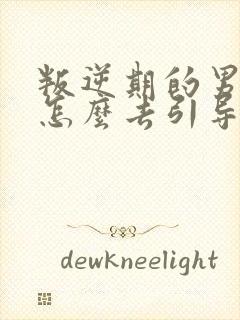 叛逆期的男孩子怎么去引导14岁