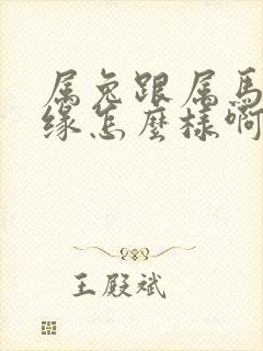 属兔跟属马的姻缘怎么样啊