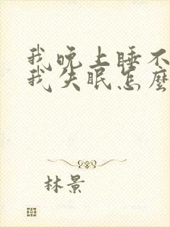 我晚上睡不着觉我失眠怎么办封面