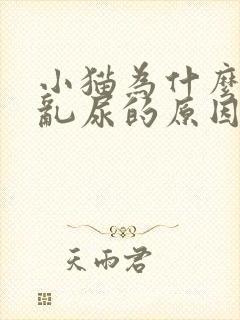 小猫为什么乱拉乱尿的原因呢