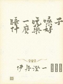 睡一晚嗓子哑吃什么药好