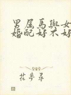 男属马与女属羊婚配好不好