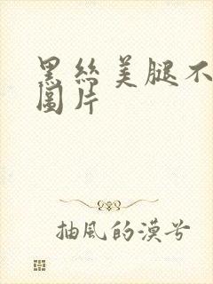 黑丝美腿不露脸图片