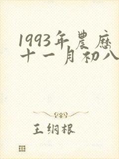 1993年农历十一月初八出生的命好吗封面