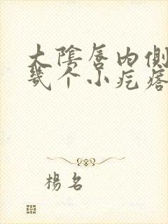 大阴唇内侧长了几个小疙瘩封面