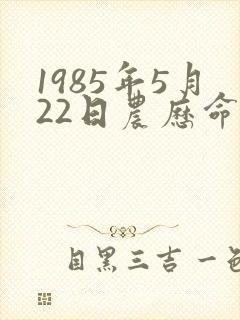 1985年5月22日农历命运