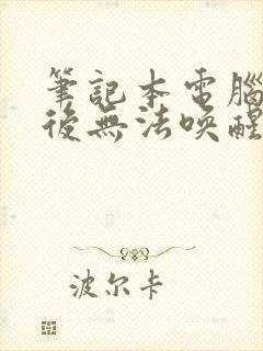 笔记本电脑睡眠后无法唤醒屏幕