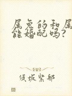 属兔的和属龙的能婚配吗?封面