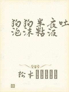 狗狗半夜吐白色泡沫粘液封面