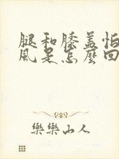 腿和膝盖怕冷怕风是怎么回事封面