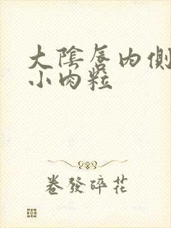 大阴唇内侧长了小肉粒