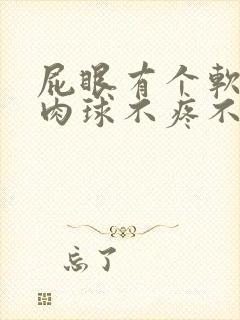 屁眼有个软软的肉球不疼不痒