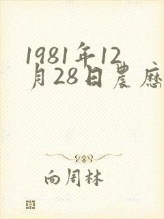1981年12月28日农历的命运