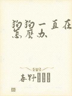 狗狗一直在拉稀怎么办