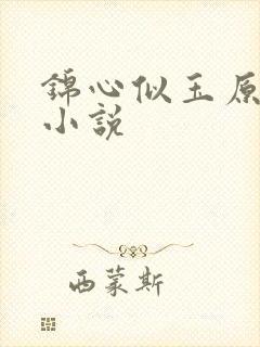锦心似玉原著 小说