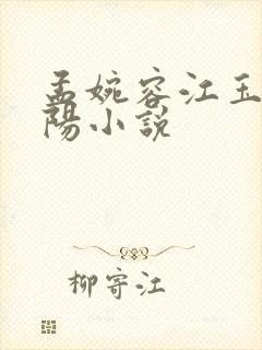 孟婉容江玉岚陈阳小说