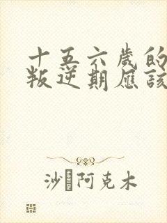 十五六岁的女孩叛逆期应该怎么办