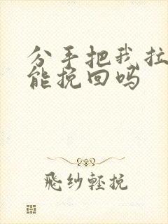 分手把我拉黑还能挽回吗封面