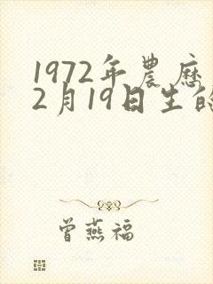1972年农历2月19日生的命运