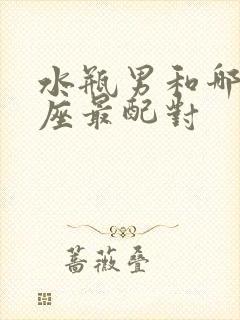 水瓶男和哪个星座最配对封面