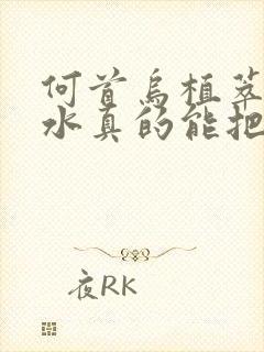 何首乌植萃洗发水真的能把白头发洗黑吗