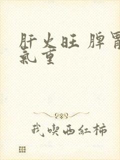 肝火旺 脾胃湿气重